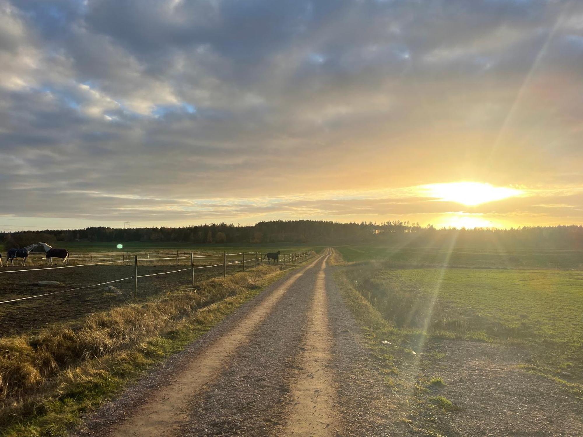 Baersta Bagarstugan Bnb Kolbäck Buitenkant foto